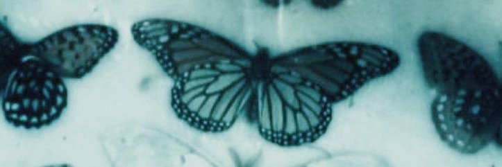 minfricks's profile banner image