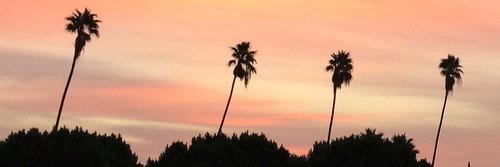 AshP_002's profile banner image