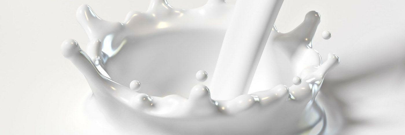 Cerealono's profile banner image