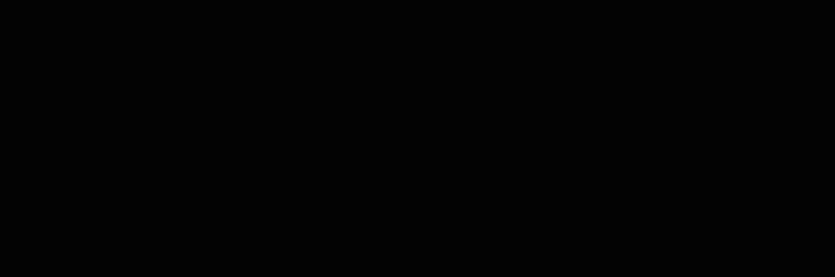 𓆈 banner