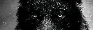 InfidelSoldier's profile banner image
