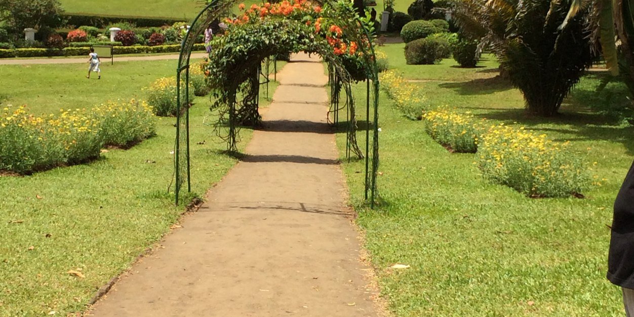 Eee2794's profile banner image