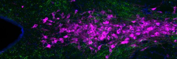 EDarcq Profile Banner