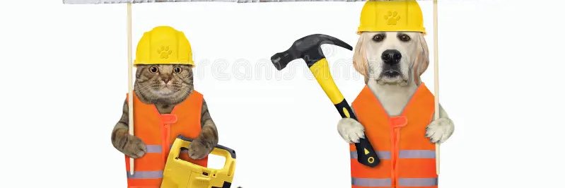 sledgehammer cat banner