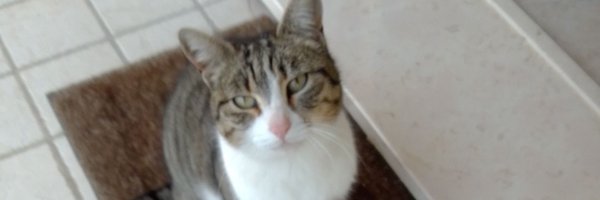 mrspaolina Profile Banner