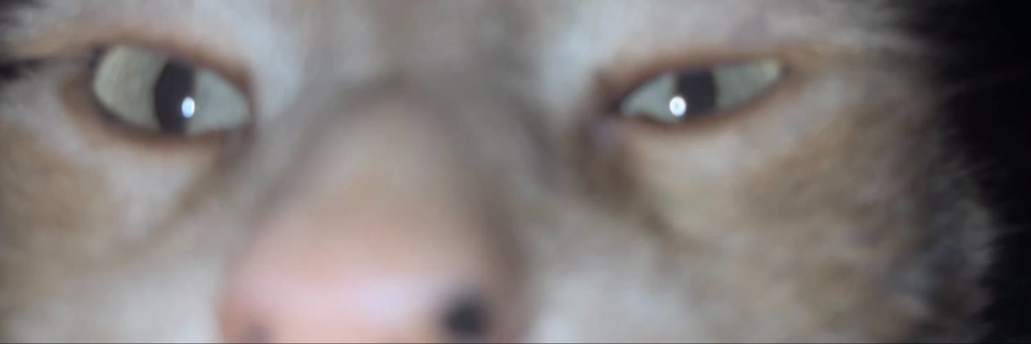 Lucivazzz's profile banner image