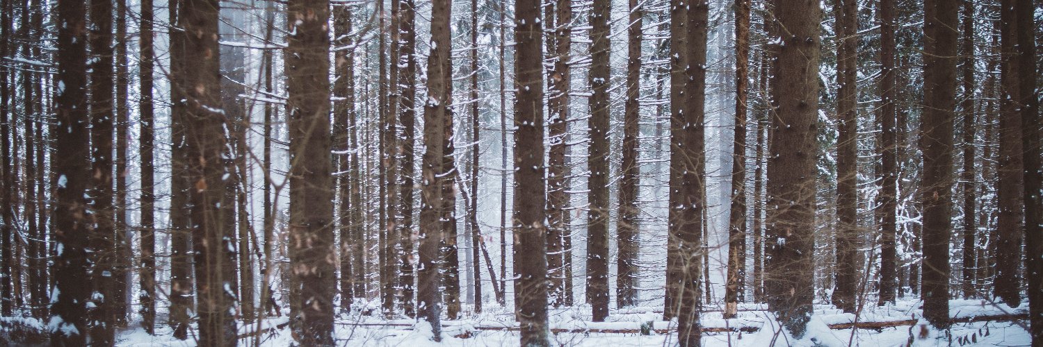 TH_Natives's profile banner image