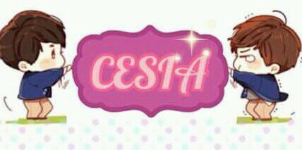 cesia_av's profile banner image