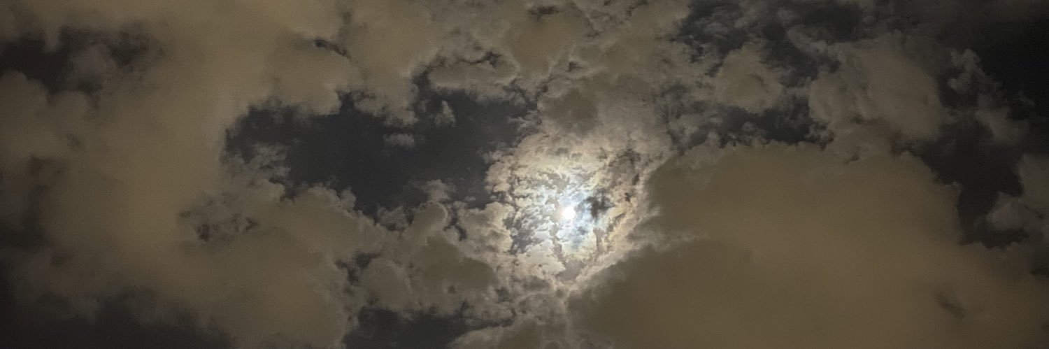ni7112's profile banner image