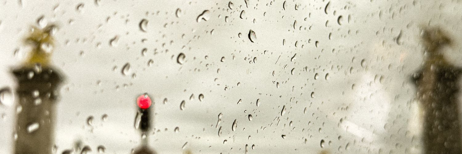 starstarling's profile banner image