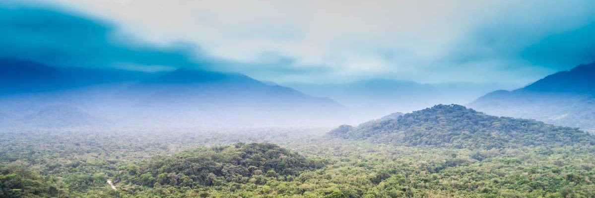 neversoldasingle.eth banner