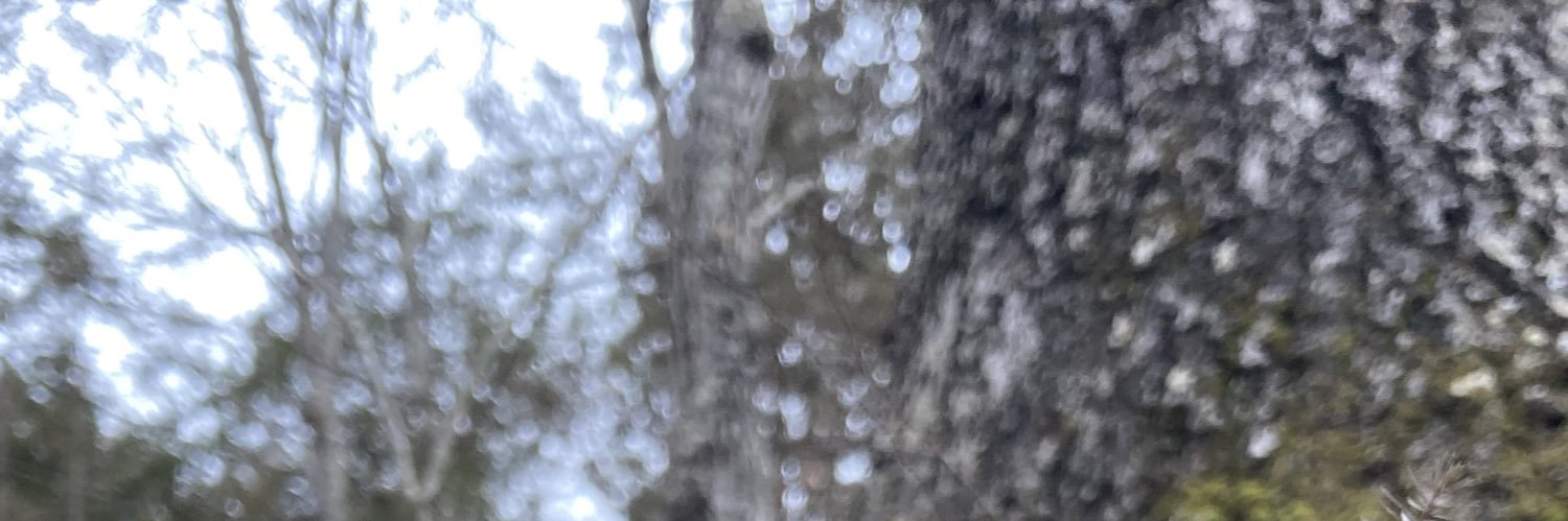 cherry ! banner