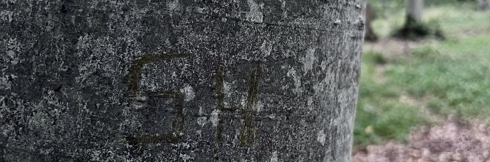 Shtha_sa's profile banner image