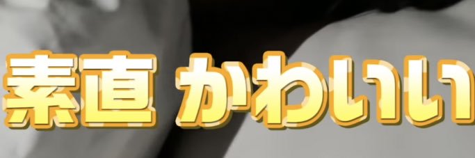 せいちゃん banner