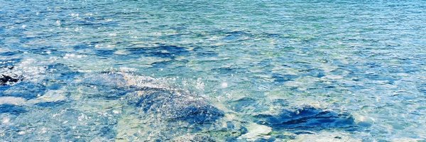 simiii_sim Profile Banner