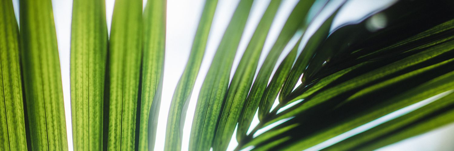 _abcdxyz's profile banner image