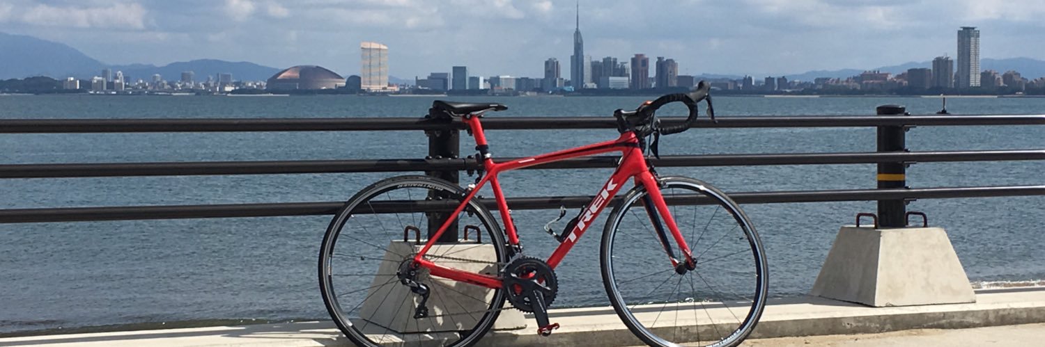 びぃーどーし banner