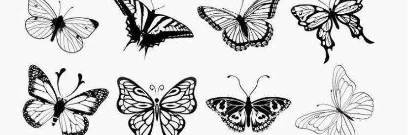 Ri_McDX's profile banner image