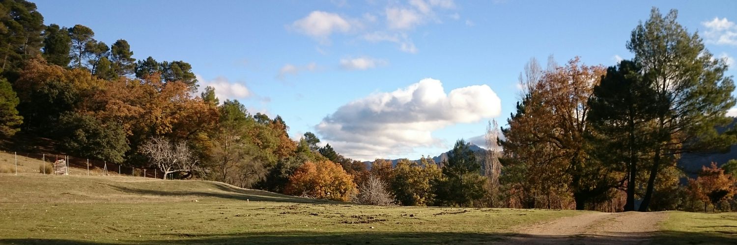 DavidmhMes's profile banner image