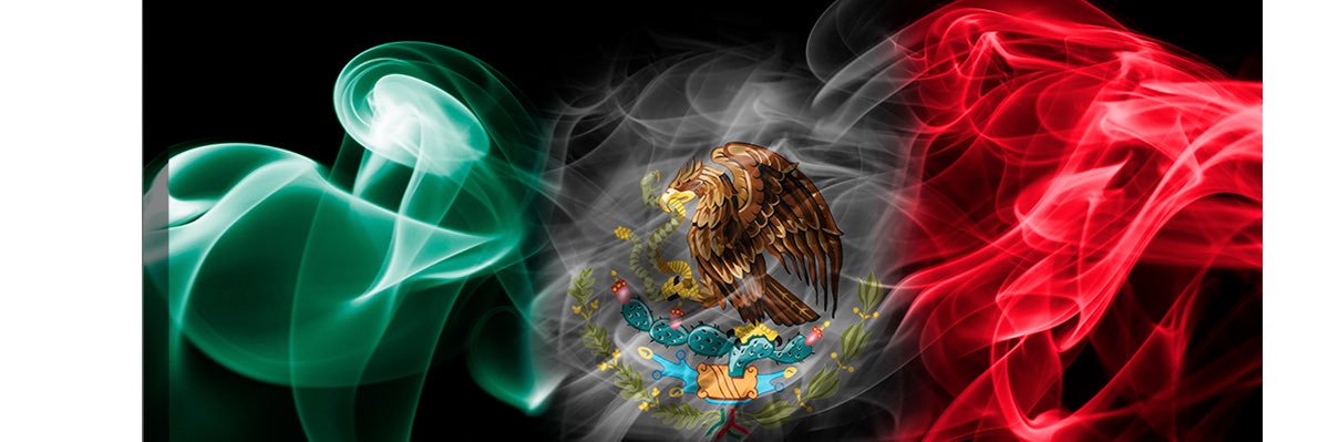 ronirel banner