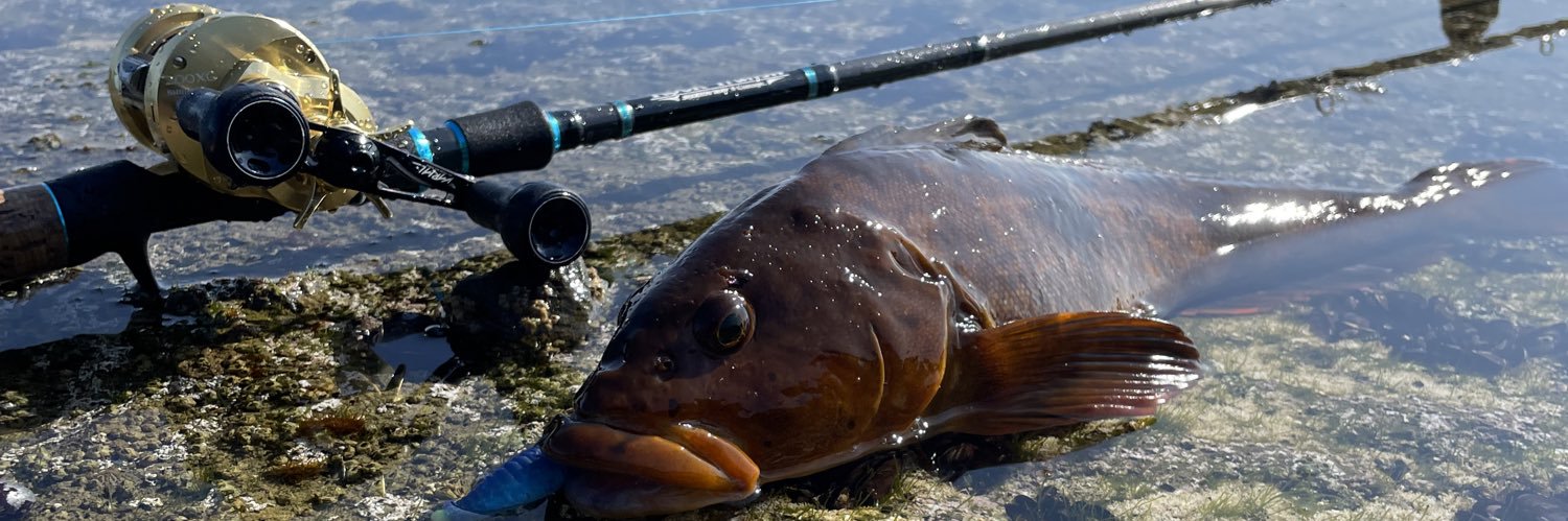 angler🎣miu papa🐟🐻 banner