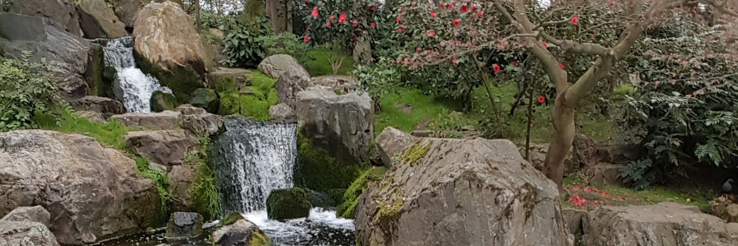 pikachuu2's profile banner image