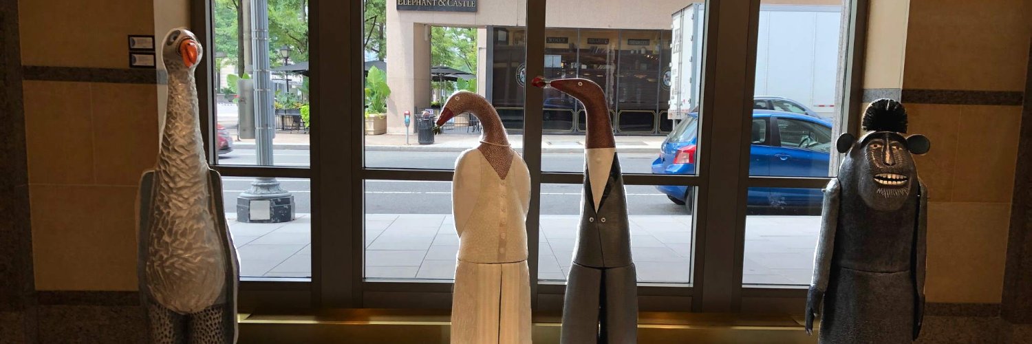 Zenith Gallery banner