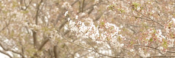 _sora_l Profile Banner