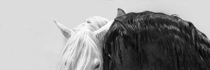 blanchmare's profile banner image