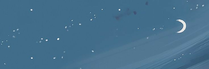 Ankò Russ 🦦's banner