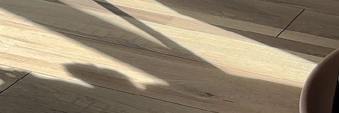 Ghodilcamp's profile banner image