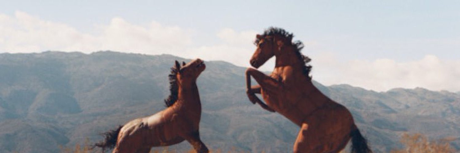 abdullah__eh's profile banner image