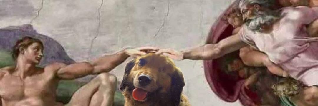 Carlos López banner