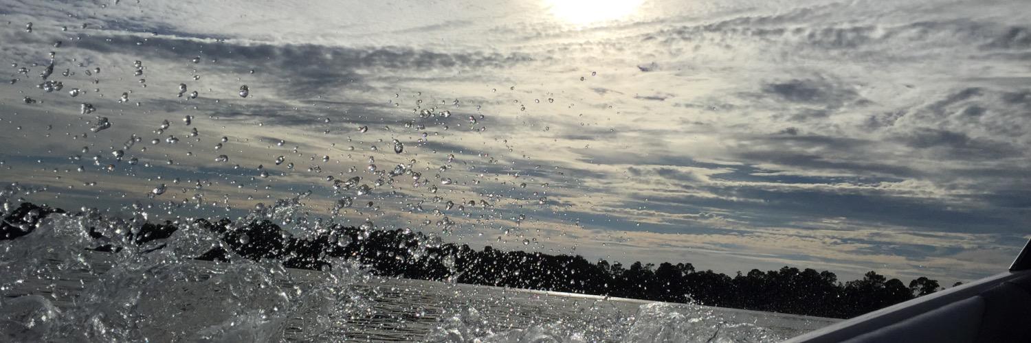 Flagship Knights!™ banner