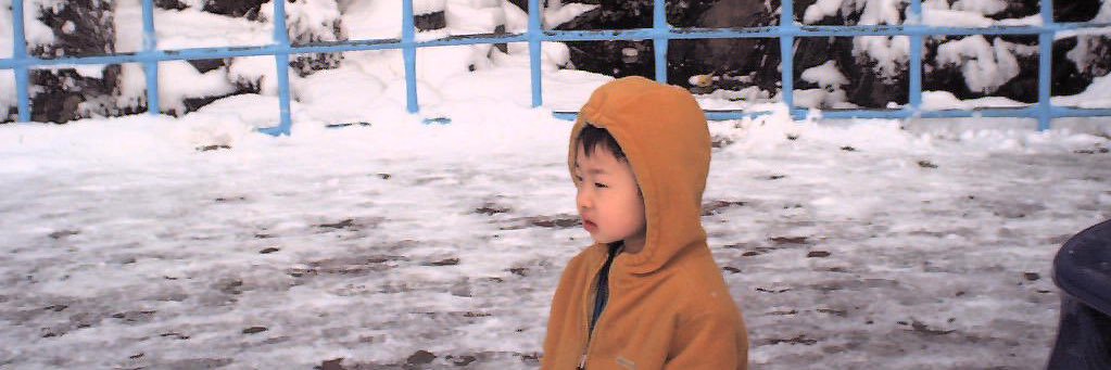 Fortune_bear_'s profile banner image