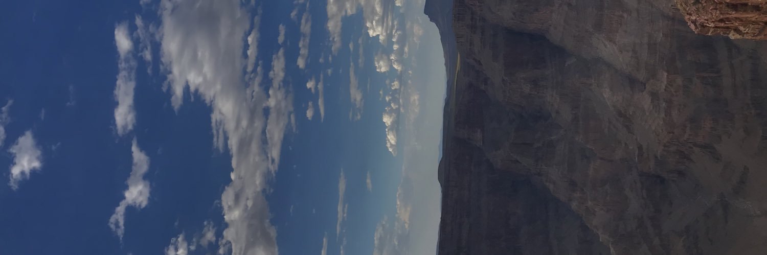 sydney morales banner