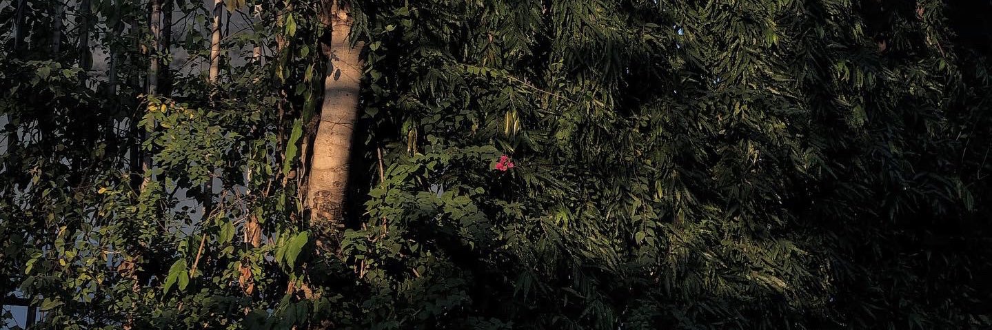 Holygxp's profile banner image