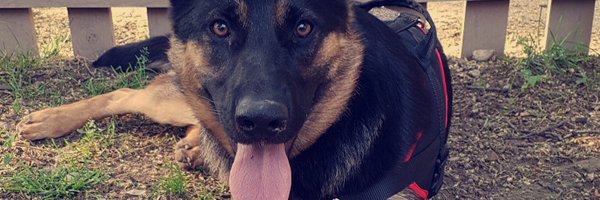 SleeYaa_ Profile Banner