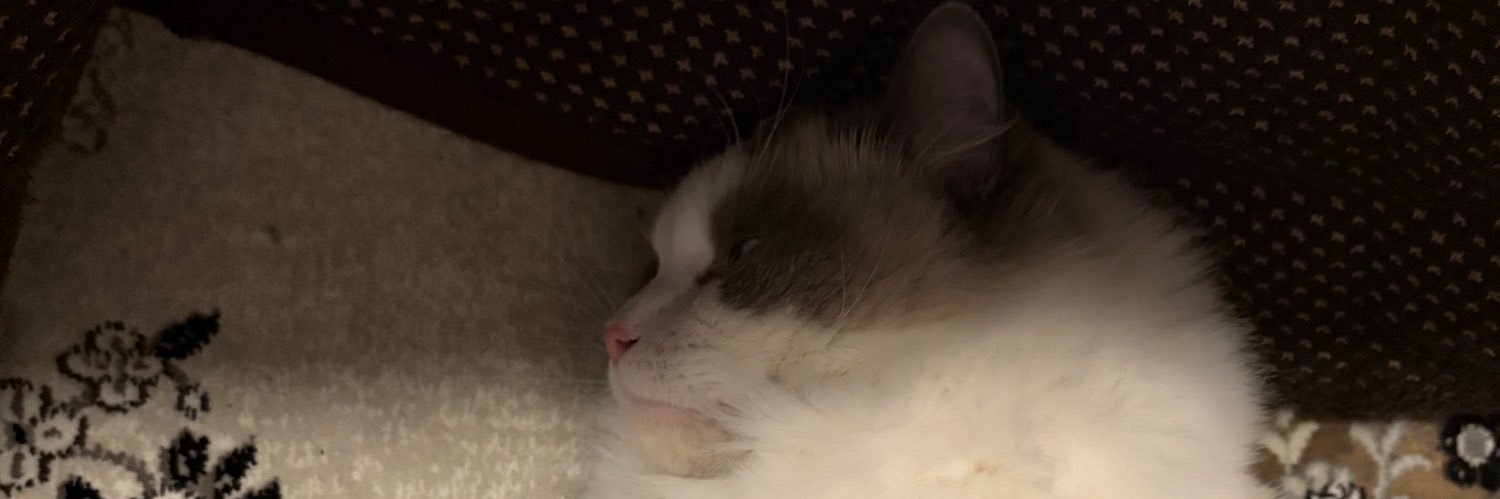 べてぃふぁん！ banner