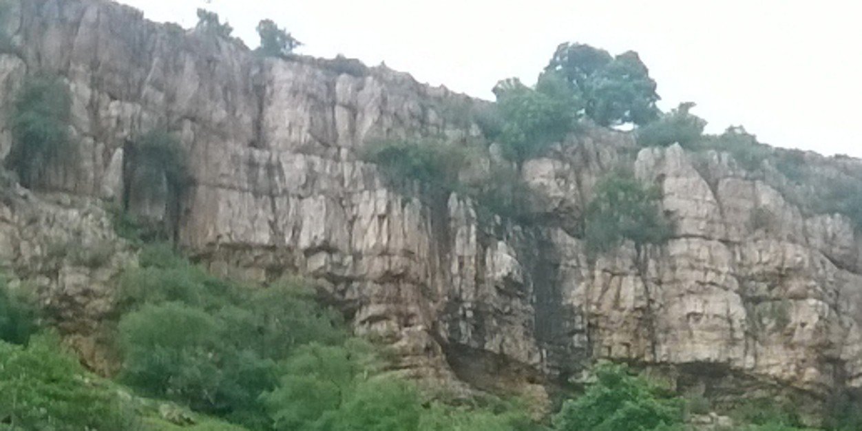 Gopal Harlalka banner