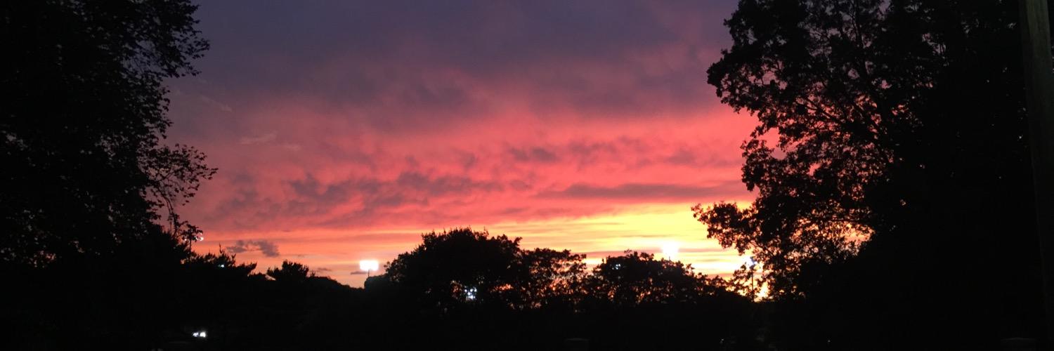 Emily Hoffman banner