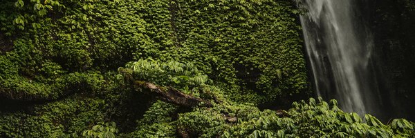 nu_waves_ Profile Banner
