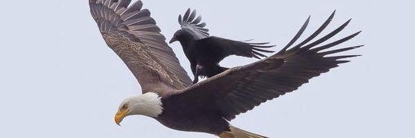 Rick Bruner 📈 banner