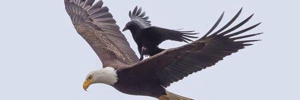 rickbruner Profile Banner