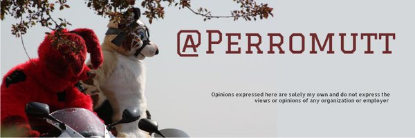 PerroMutt Profile Banner