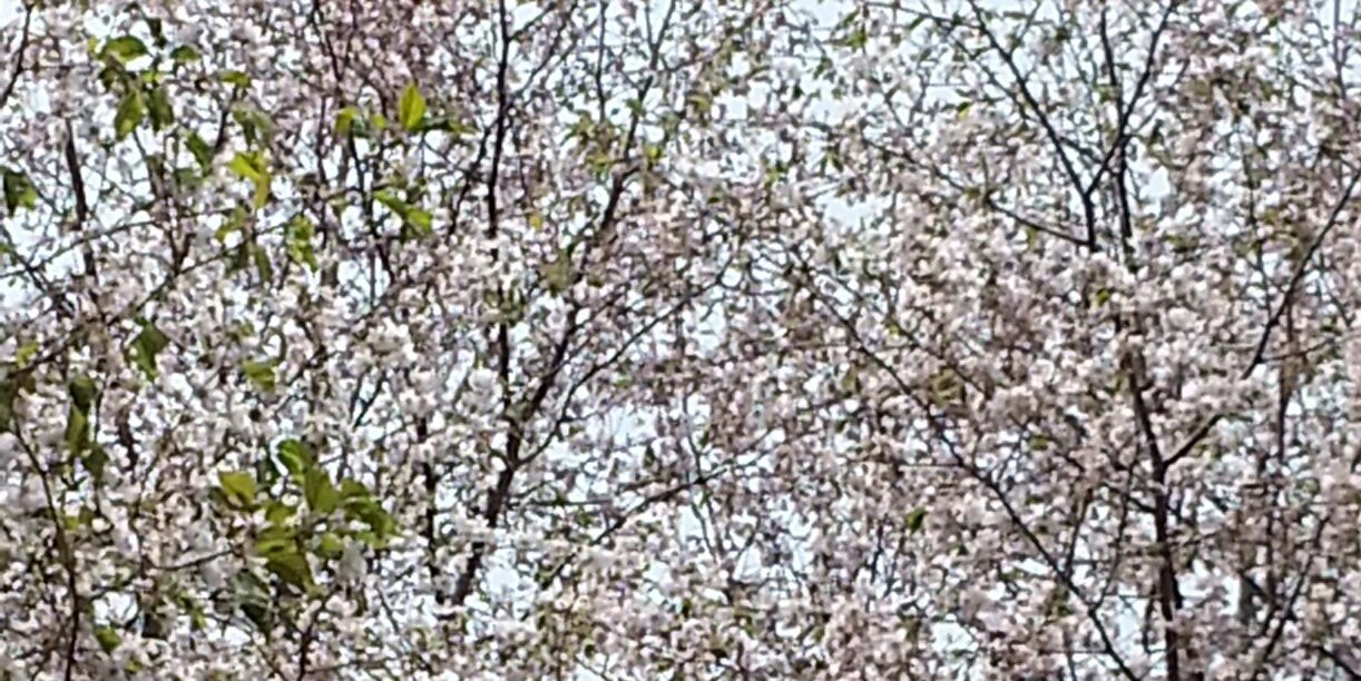Timy1381's profile banner image