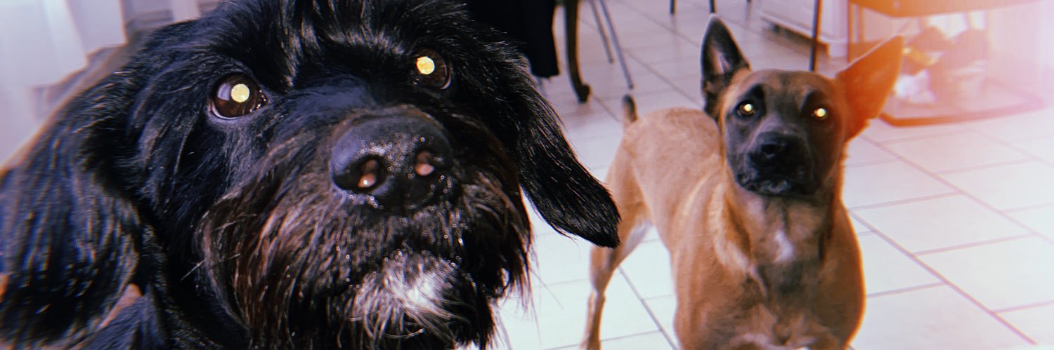 ge_col's profile banner image