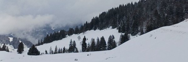 Eloscandi Profile Banner