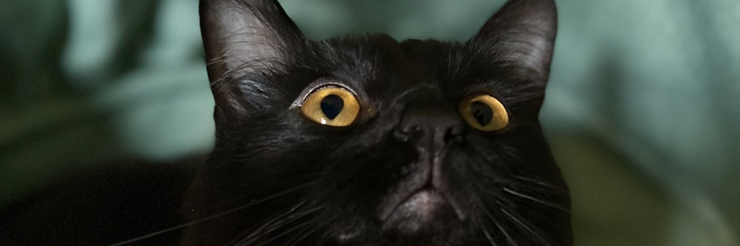 ZeldaFoo's profile banner image