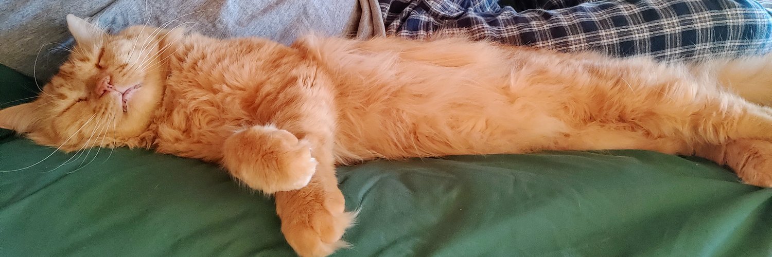 Tormund Sofasbane 🐱🦁🐱 banner